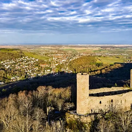 Apartamento La Des Chateaux Nature Et Confort A Barr