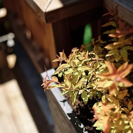 Apartamento La Des Chateaux Nature Et Confort A Barr